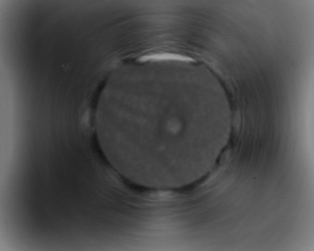 X0000094350428200711162033