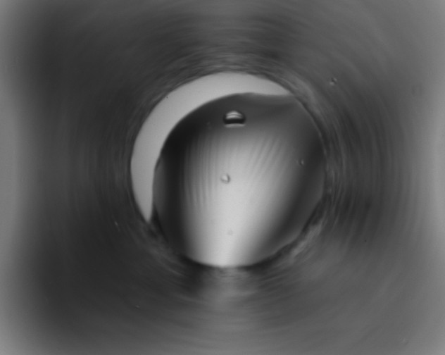 X0000094350429200711162033