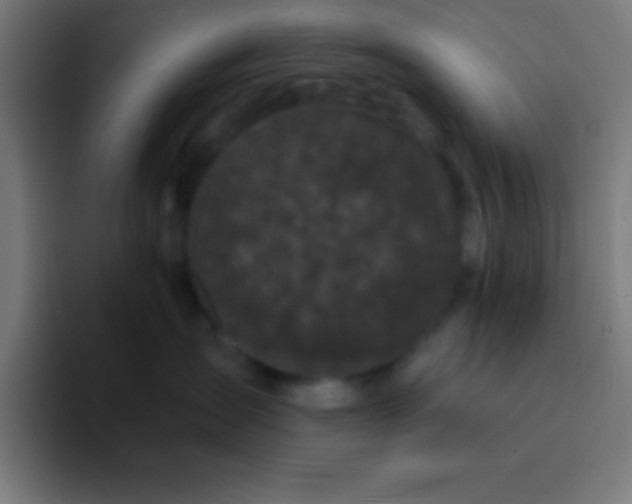 X0000094350431200711162033