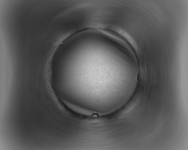 X0000094350433200711162033