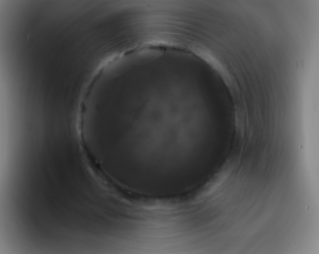 X0000094350434200711162033