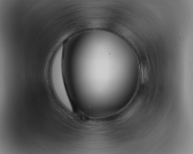 X0000094350435200711162033