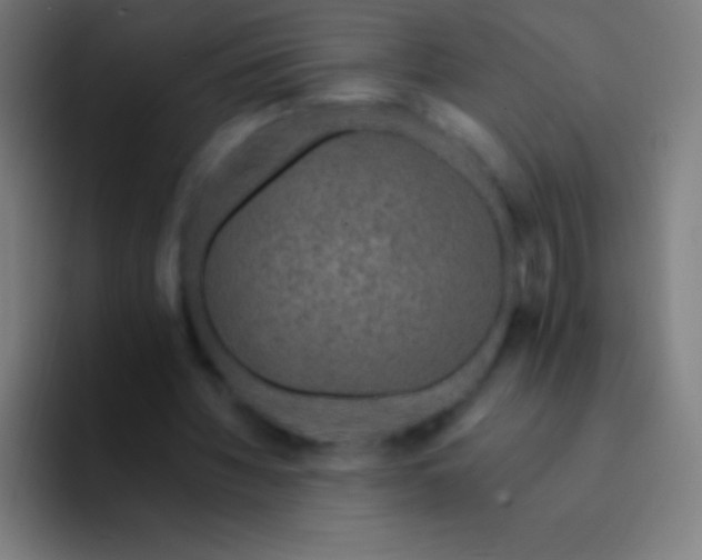 X0000094350436200711162033