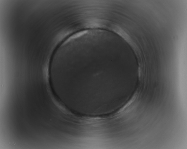 X0000094350438200711162033