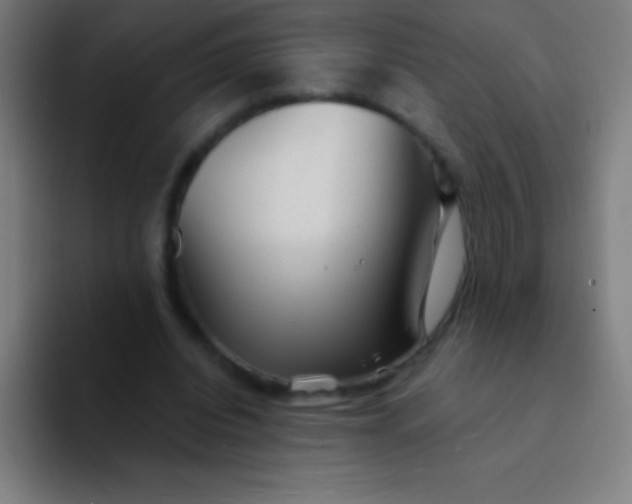 X0000094350440200711162033