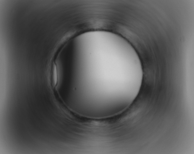 X0000094350442200711162033