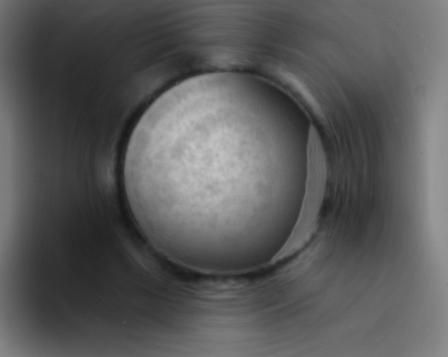 X0000094350443200711162033