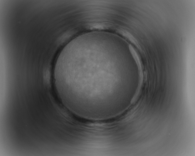 X0000094350444200711162033