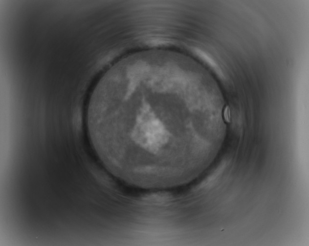 X0000094350447200711162033