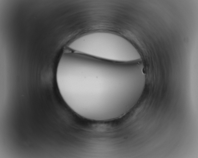 X0000094350448200711162033