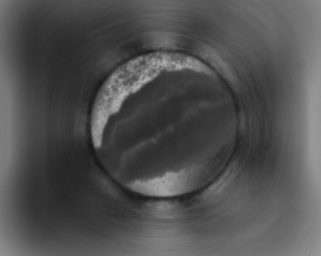 X0000094350449200711162033