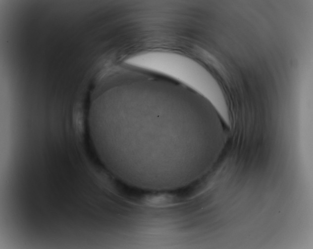 X0000094350452200711162033