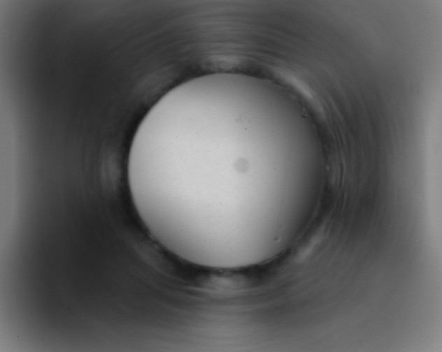 X0000094350455200711162033