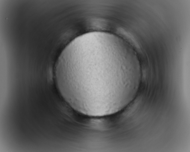 X0000094350457200711162033