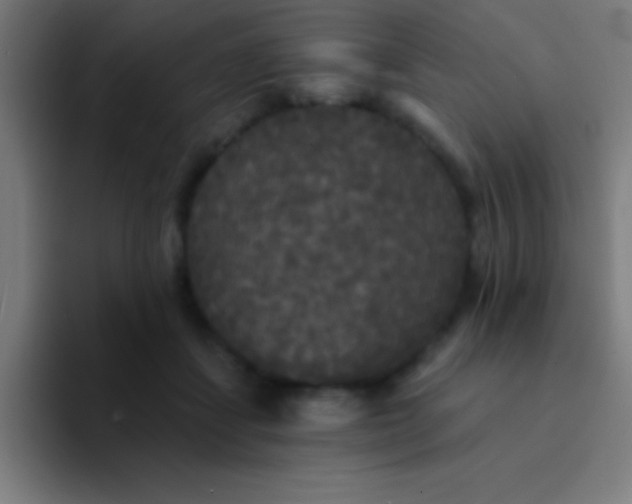 X0000094350459200711162033