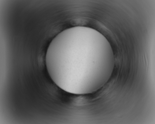 X0000094350460200711162033