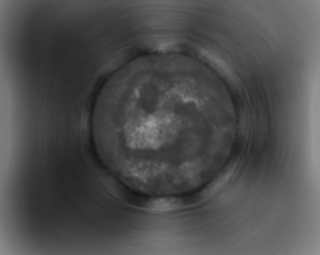 X0000094350461200711162033