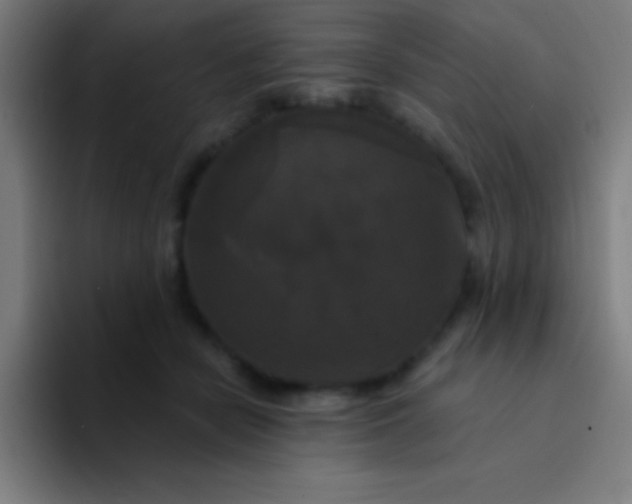 X0000094350462200711162033