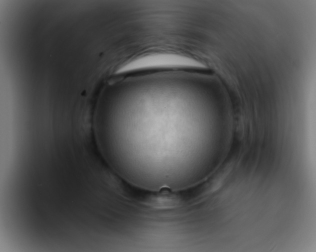 X0000094350466200711162033