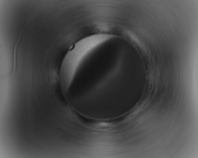 X0000094350467200711162033