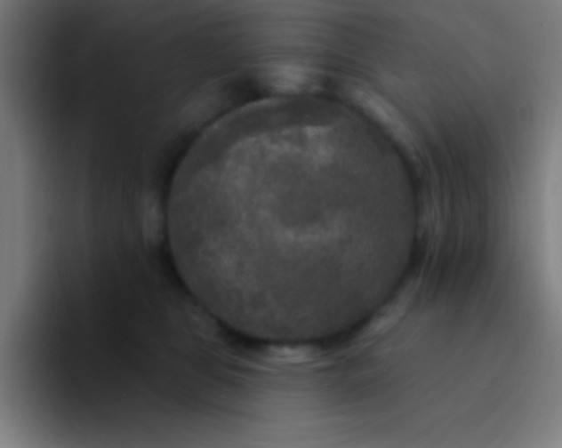 X0000094350469200711162033