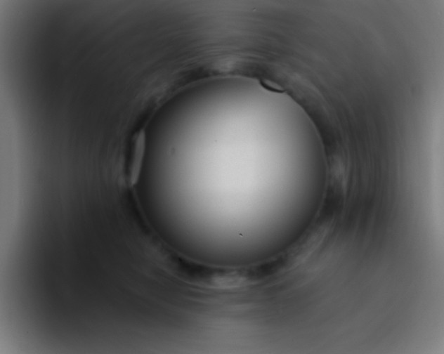 X0000094350470200711162033