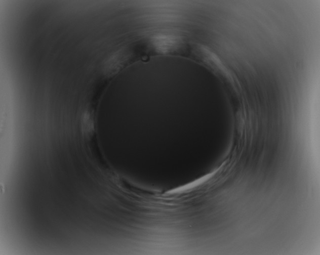 X0000094350471200711162033