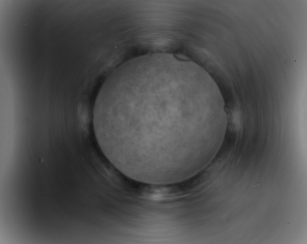 X0000094350472200711162033