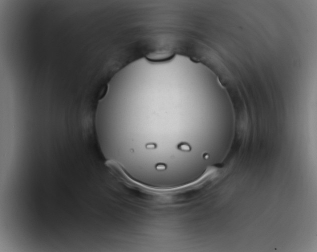 X0000094350473200711162033