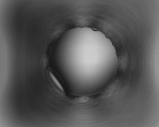 X0000094350474200711162033