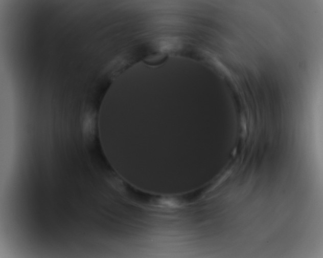 X0000094350475200711162033