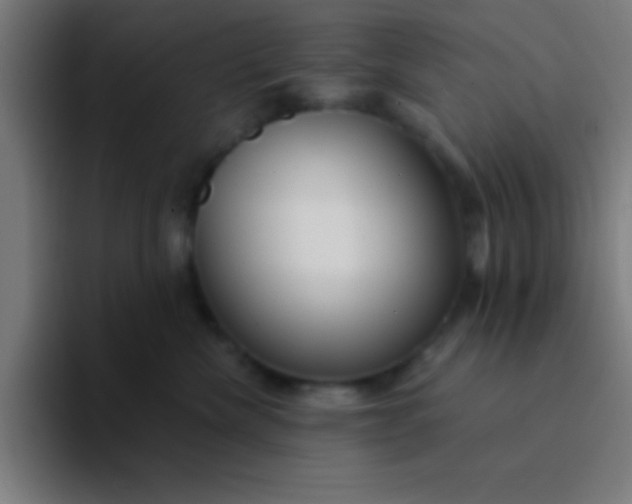 X0000094350476200711162033