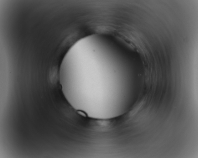 X0000094350478200711162033