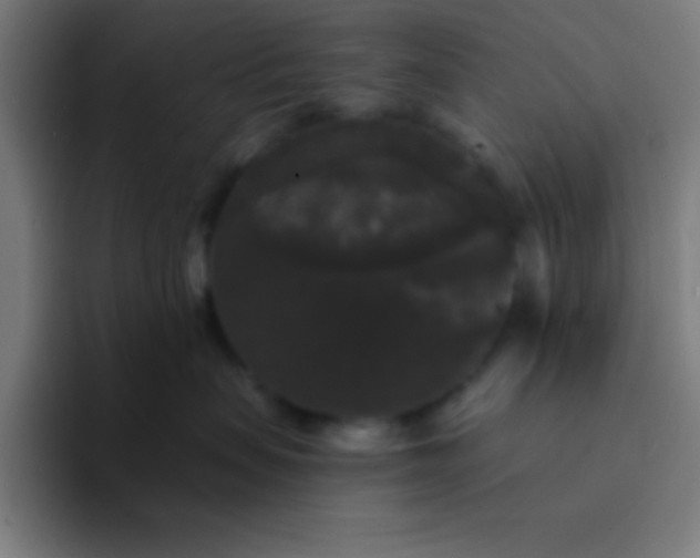 X0000094350479200711162033