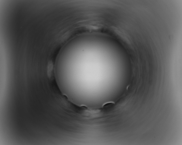 X0000094350480200711162033