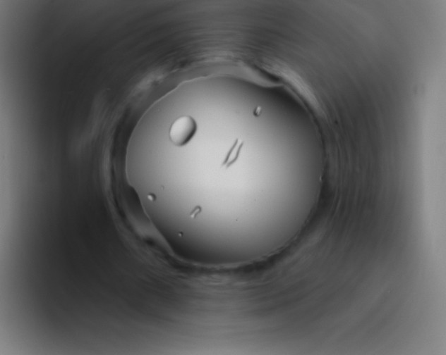 X0000094350482200711162033