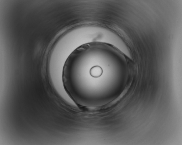 X0000094350484200711162033