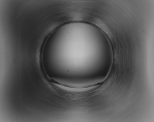 X0000094350485200711162033