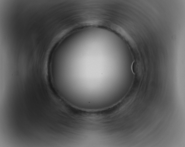 X0000094350486200711162033