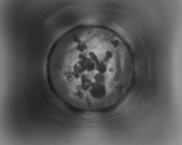 X0000094350487200711162033