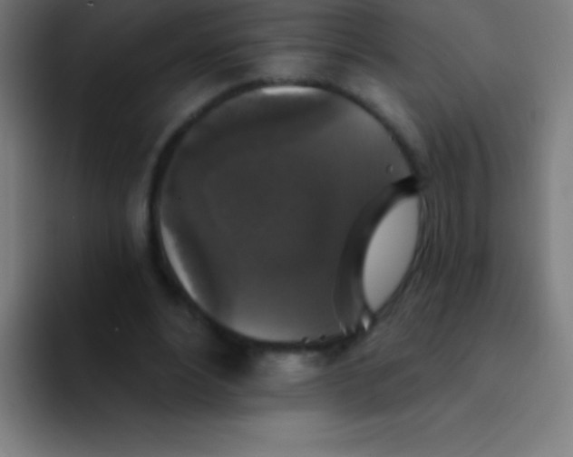 X0000094350488200711162033