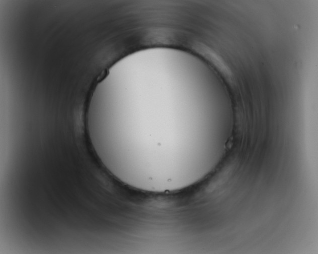 X0000094350489200711162033