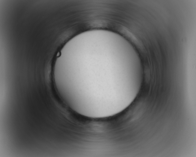 X0000094350490200711162033