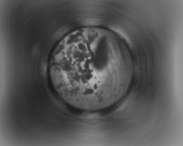 X0000094350491200711162033