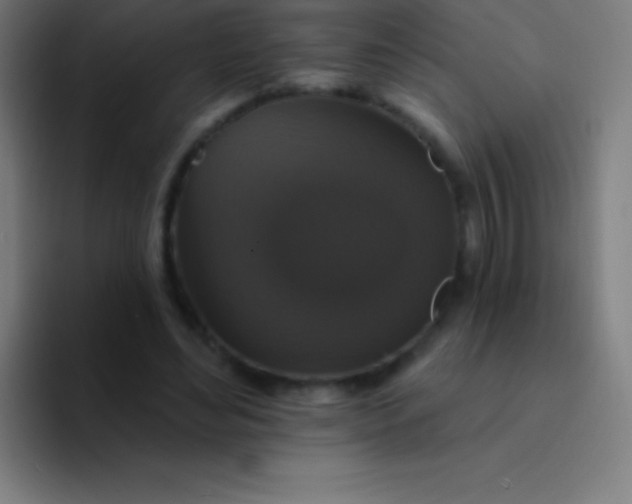 X0000094350492200711162033