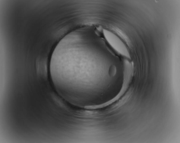 X0000094350493200711162033