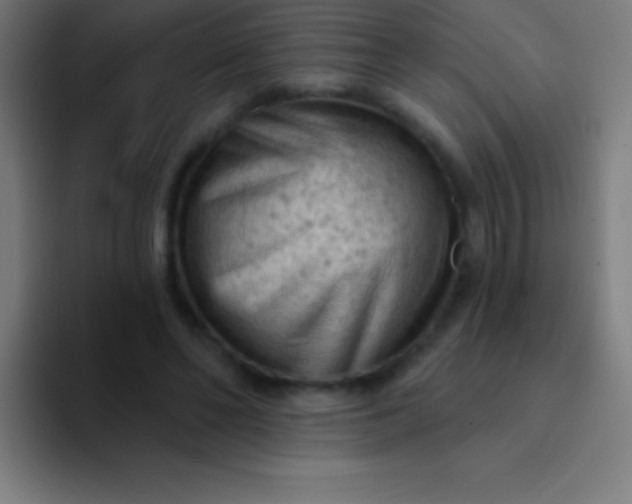 X0000094350494200711162033