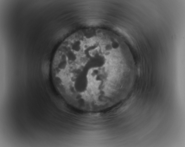 X0000094350495200711162033