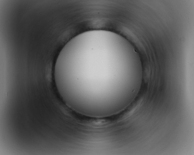 X0000094350497200711162033