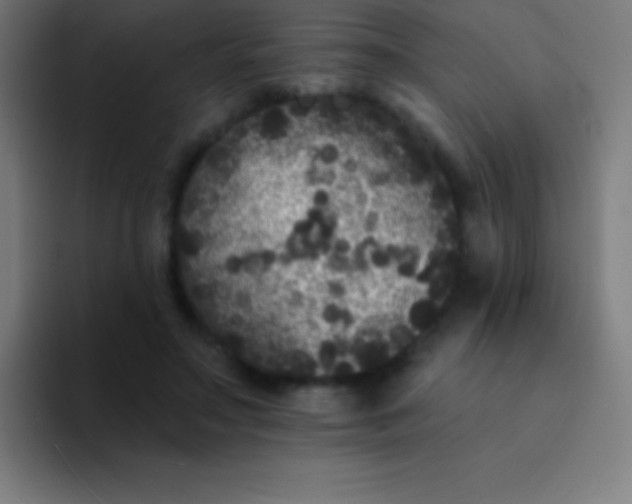 X0000094350499200711162033